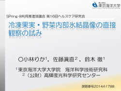 冷凍果実・野菜内部氷結晶像の直接観察の試み - SPring-8