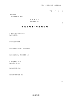 補 足 説 明 書（ 財 産 処 分 用 ）