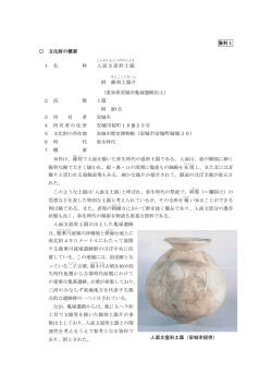 資料1 [PDFファイル／177KB]
