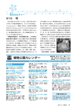 花のカルチャー（PDF形式 706キロバイト）