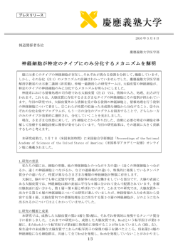 プレスリリース全文(PDF/326KB)
