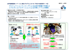 プロジェクションマッピングによる近赤外画像の可視化と リアルタイム