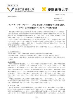 プレスリリース全文(PDF/221KB)