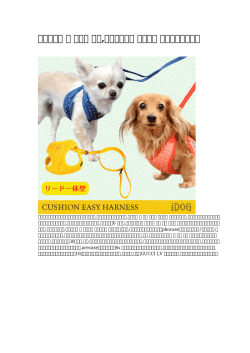 【促銷の】 犬 レザー 首輪,室内で飼う犬 海外発送 一番新しいタイプ