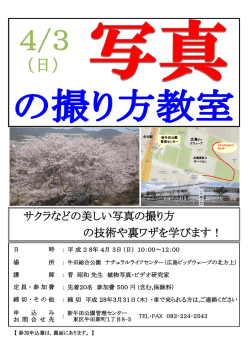 写真の撮り方教室 - 新牛田公園・牛田総合公園