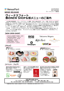 詳細はPDFデータをご覧下さい（1.2MB）