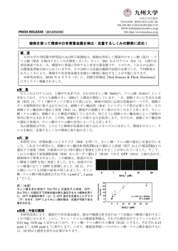 植物を使って環境中の有害重金属を検出・定量するしくみの