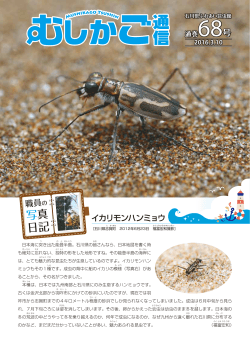 詳しくはこちら（PDF） - 石川県ふれあい昆虫館