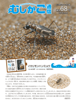 詳しくはこちら（PDF） - 石川県ふれあい昆虫館