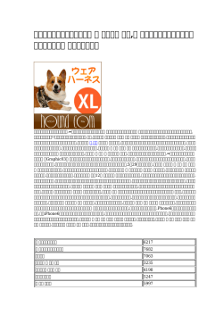【アウトレット特価品】首輪 犬 ヴィトン 激安,犬 首輪の優れた品質と低価格