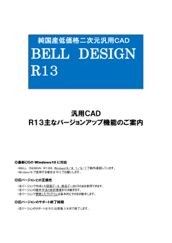 BELL DESIGN R13