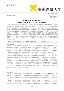 プレスリリース全文(PDF/496KB)