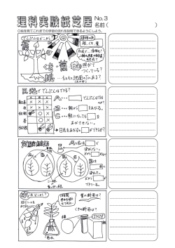 No.3 名前 - So-net