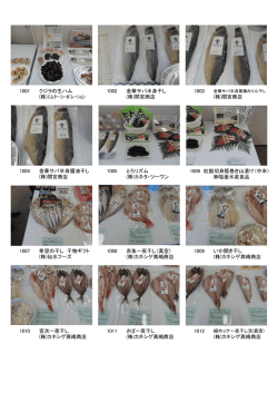 写真で見る [PDFファイル／897KB]