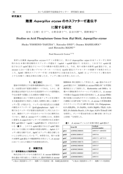 麹菌Aspergillus oryzae のホスファターゼ遺伝子に関する研究（PDF