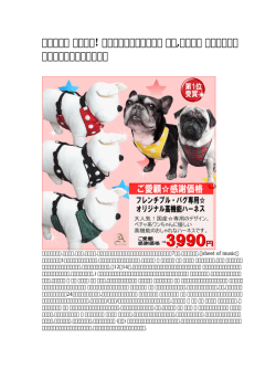 犬のトイレしつけ 成犬 - Freedom Quit Smoking System