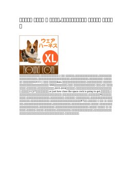 ブランド 犬 ハーネス,犬キャリーバッグ人気 ロッテ銀行