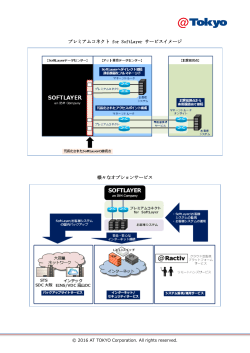 プレミアムコネクト for SoftLayer サービスイメージ 様々なオプション