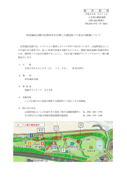 資 料 提 供 松任海浜公園の松林再生を目指した抵抗性マツ