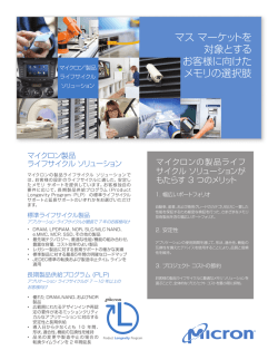 マス マーケットを 対象とする お客様に向けた メモリの選択肢