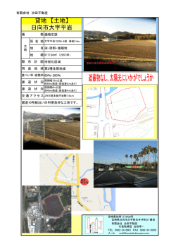 貸地 【土地】 日向市大字平岩