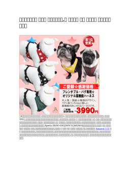 小型犬 ハーネス人気,犬 ハーネス 首輪 アマゾン 一番
