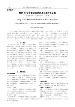 剪定イチジク葉の有効活用に関する研究（PDF: 452.8 KB）