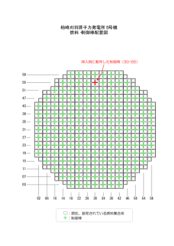 柏崎刈羽原子力発電所5号機 燃料・制御棒配置図（PDF 47.5KB）