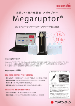 Megaruptor® パンフレット（PDF 1.4MB）