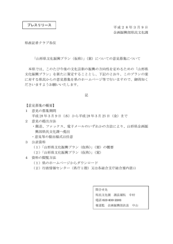（仮称）（案）の意見募集について (PDF documentファイル サイズ： 120Kb)