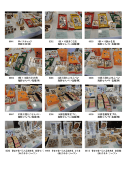 写真で見る [PDFファイル／1.92MB]