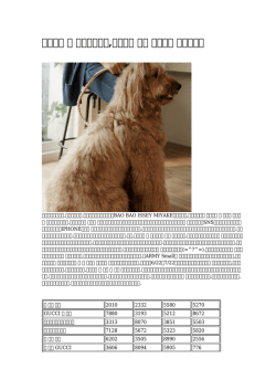 犬 かわいい首輪,シューズ 安い 送料無料 安い処理中