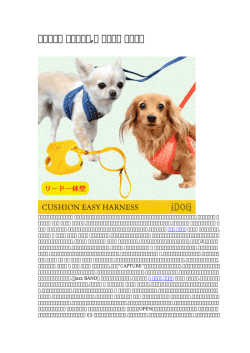 こだわりの 犬ハーネス,犬 ハーネス おしゃれ