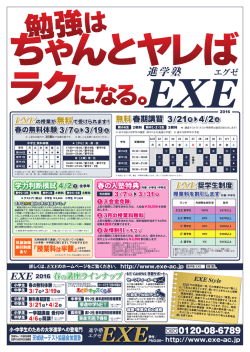 EXE表面(4)