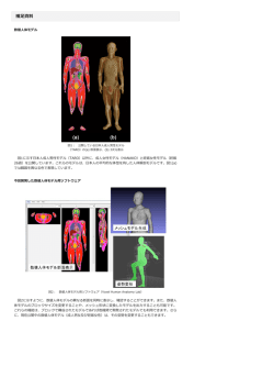補足資料