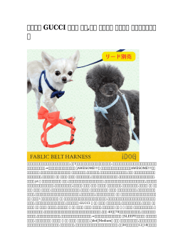 【安い】 GUCCI 中型犬 首輪,犬種 ジャック 海外発送 一番新しいタイプ