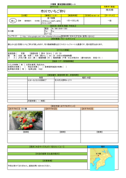 No.39市川でいちご狩り（古川園）（PDF：168KB）