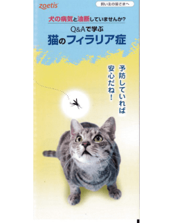 リア症