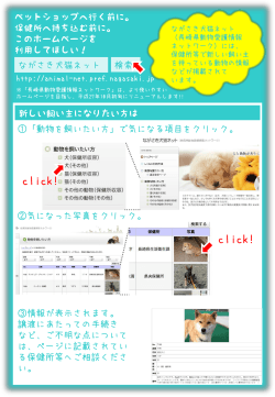 ながさき犬猫ネットの活用を！ - 長崎県動物愛護ネットワーク