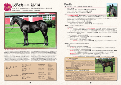 レディカーニバル`14