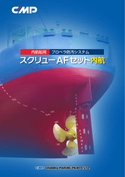 内航船用 プロペラ防汚システム
