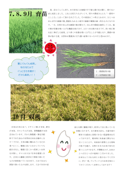 自然米成長記録 - ヤマニファーム