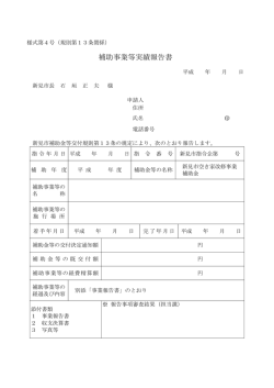 補助事業等実績報告書