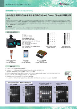 さまざまな濃度のDNAを泳動する時のMidori Green Directの使用方法