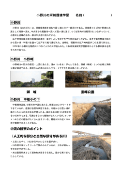 観察資料