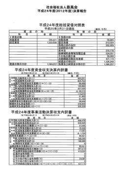 平成24年 決算報告書 - 社会福祉法人 慈風会