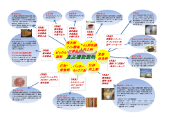 食品機能製剤パンフレット pdf
