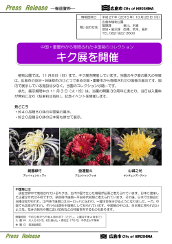 キク展を開催 - 広島市植物公園