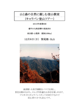（日）奥多摩・笹尾根～丸山