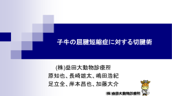 子牛の屈腱短縮症に対する切腱術